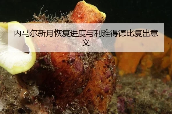 内马尔新月恢复进度与利雅得德比复出意义