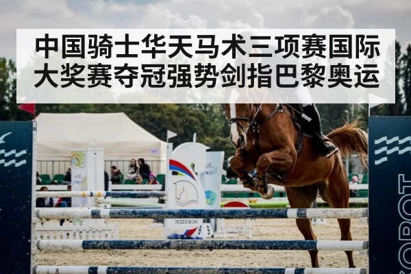 show jumping horse
