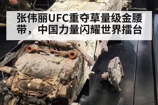 张伟丽UFC重夺草量级金腰带,中国力量闪耀世界擂台